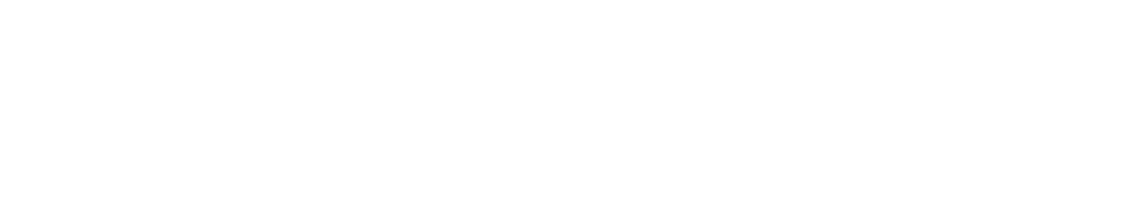 EvorixSystems